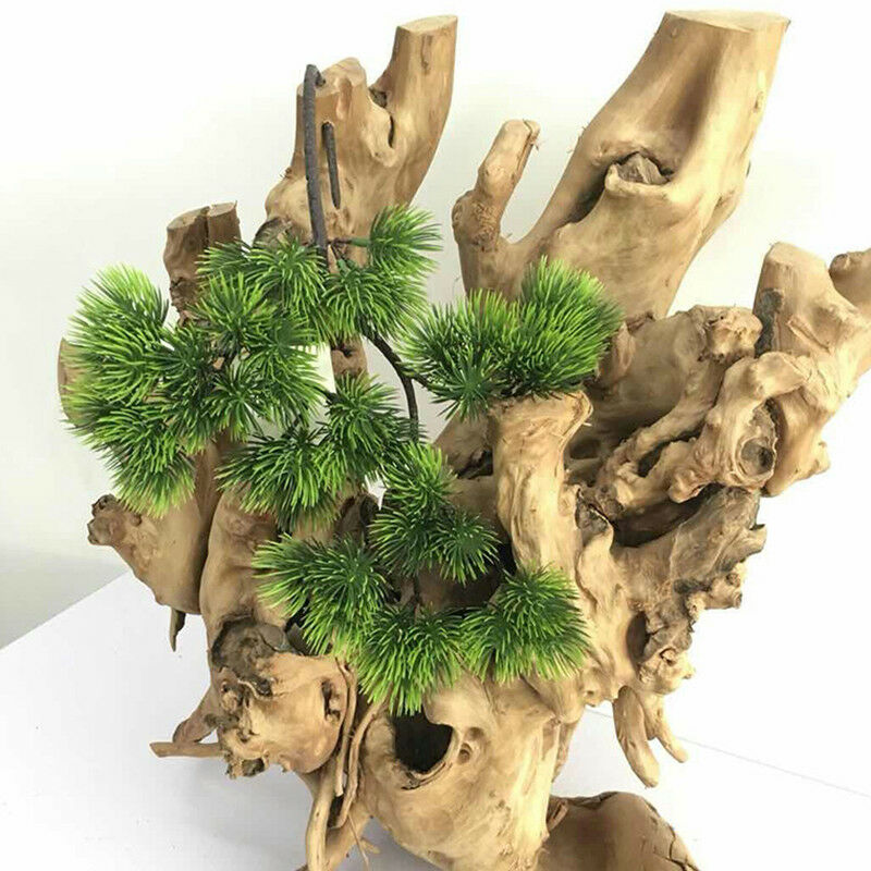 42cm Artificial Plant Pine Bra - огляд і ціна Sphagnum Moss Dry