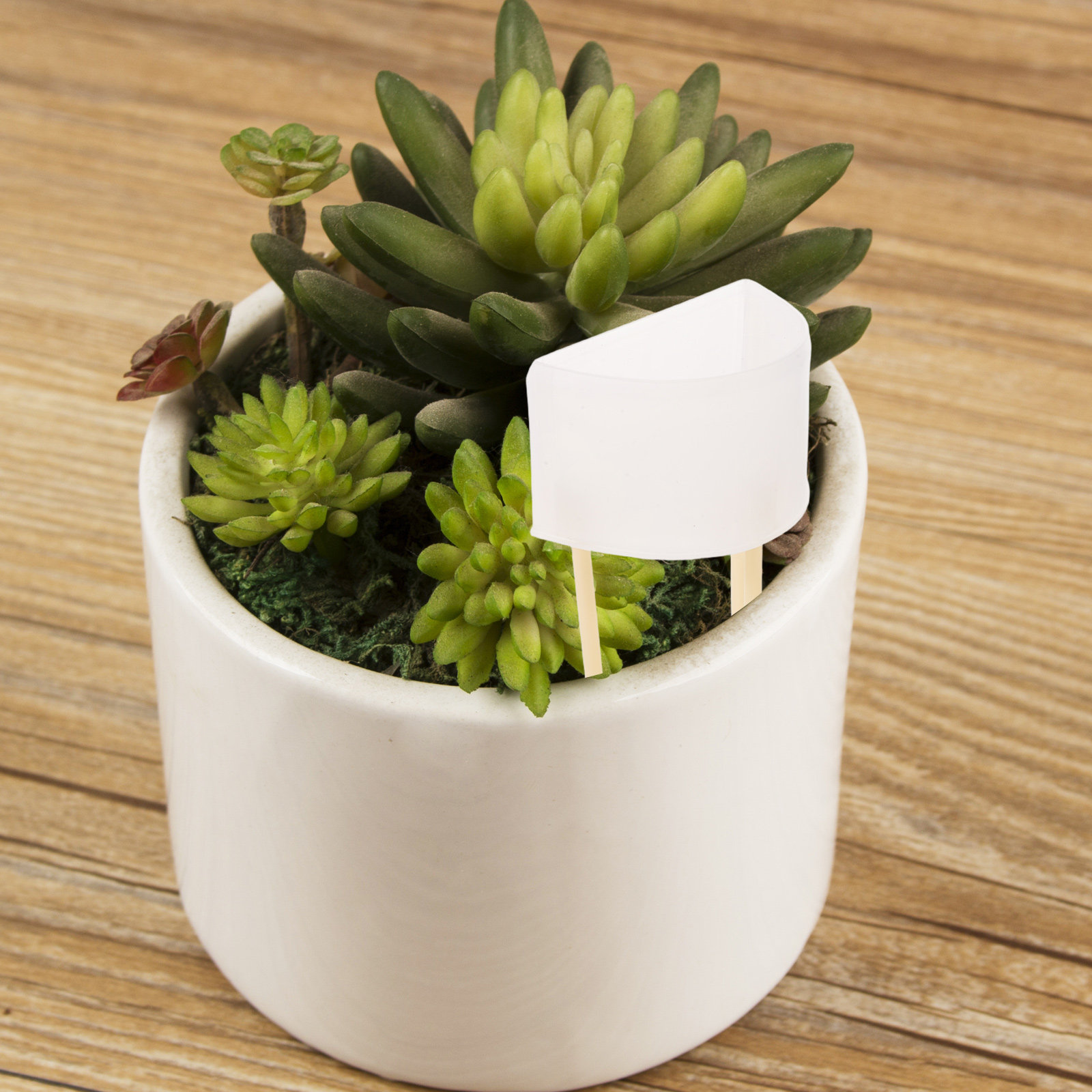 Adjustable Moss Pole Watering  - огляд і ціна Self Watering Insert
