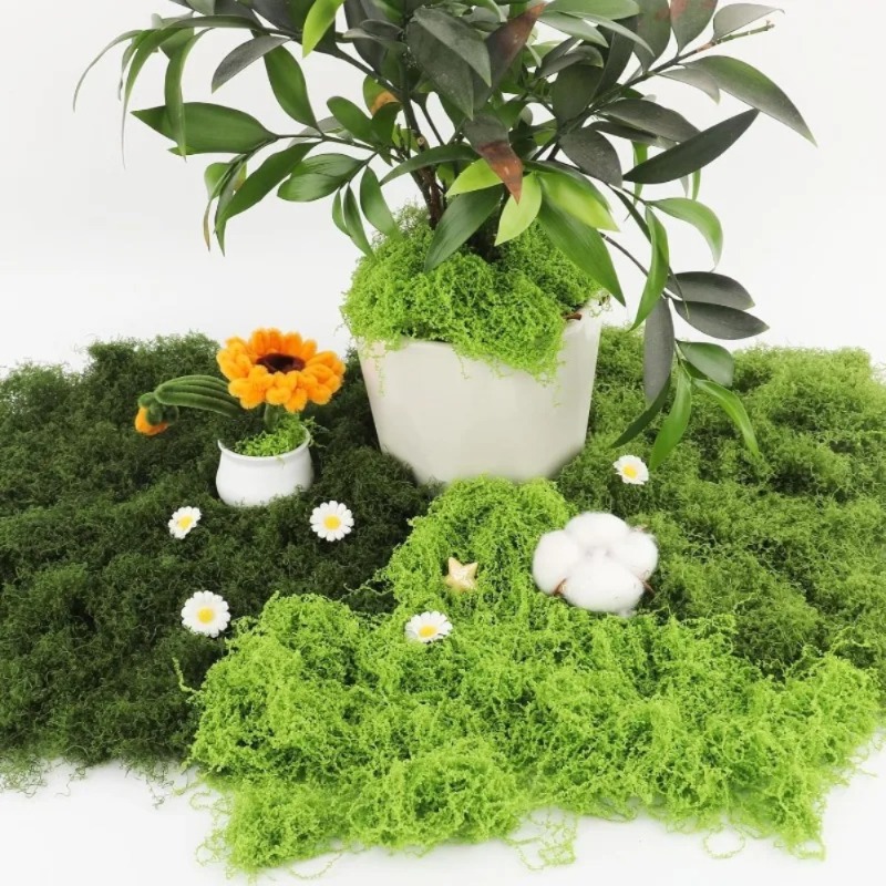Artificial Green Moss Fake Mos - огляд і ціна Sphagnum Moss Dry