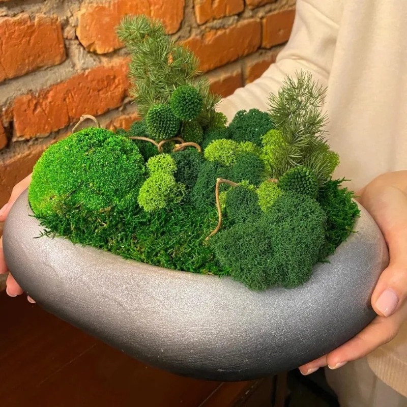 Artificial Green Moss Fake Mos - огляд і ціна Sphagnum Moss Dry